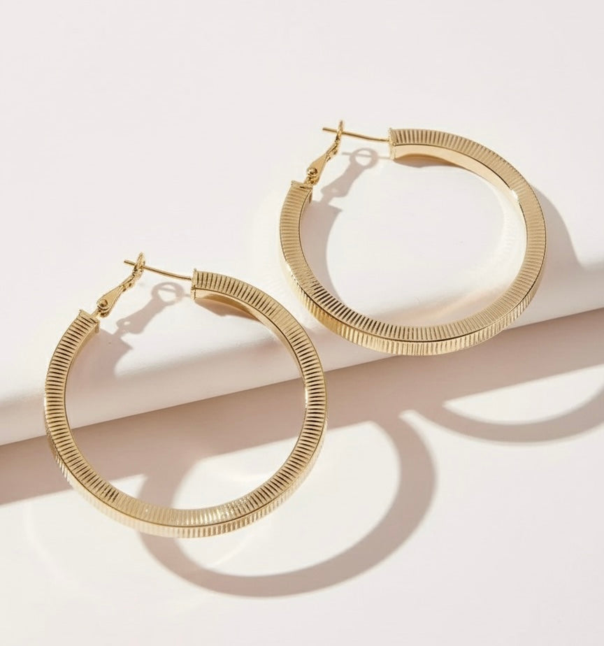 Linear Shine Earrings