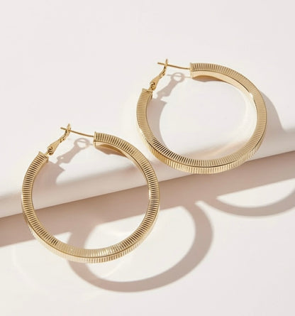 Linear Shine Earrings