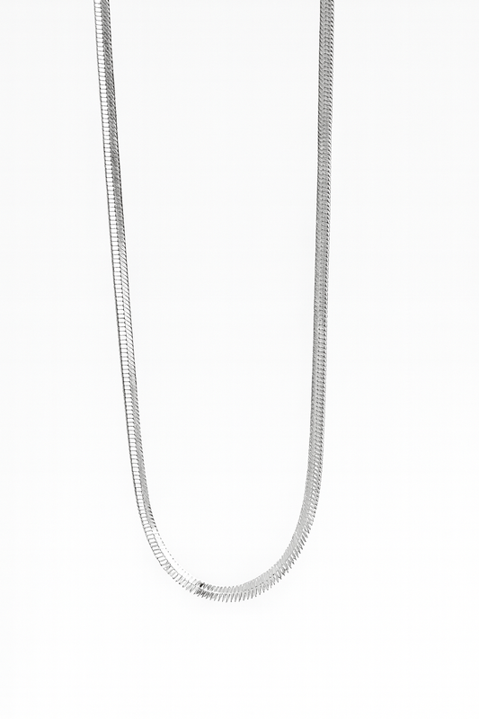 Snake Silver Necklace